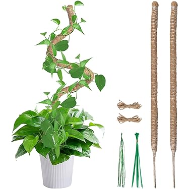 Amazon.co.jp 売れ筋ランキング: ガーデニング用支柱 の中で最も人気の